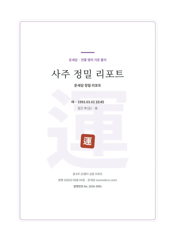 사주 정밀 리포트 표지