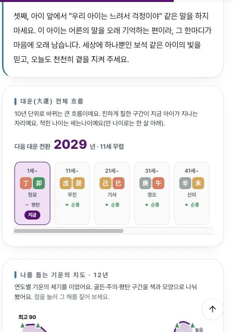 10년 단위 대운 흐름 표 화면