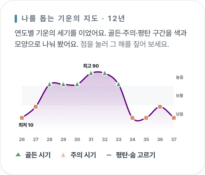 12년치 용신운 흐름을 꺾은선 그래프로 보여주는 화면